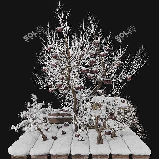 Winter Pomegranate Tree Set 3D model image 5