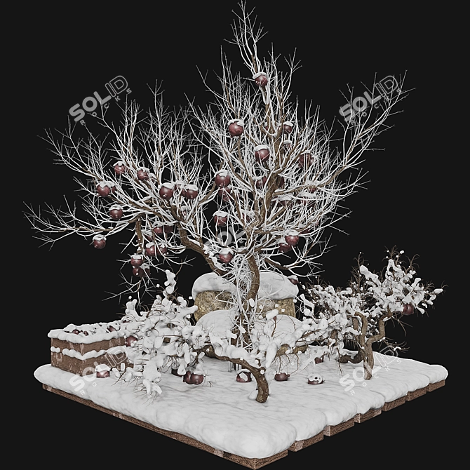 Winter Pomegranate Tree Set 3D model image 6