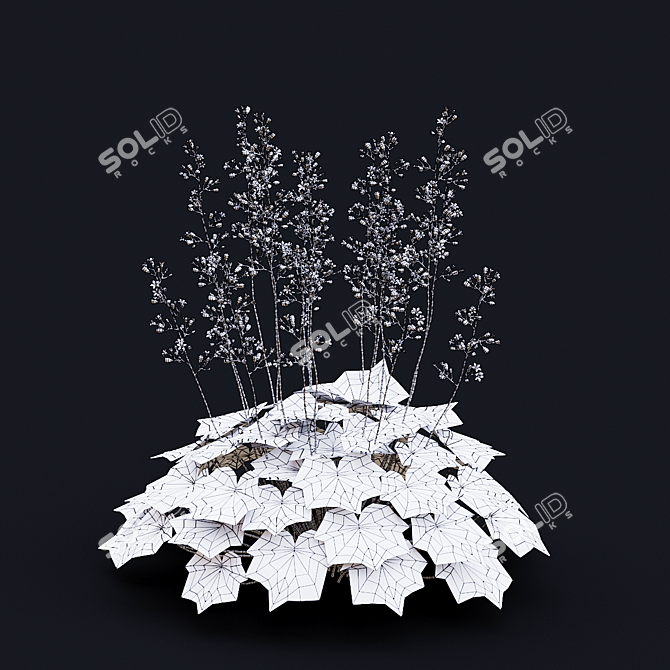 Hybrid Heuchera Flowers Collection 3D model image 5