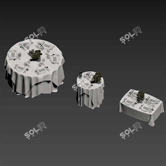 Luxury Tablecloth Bundle Set - Gallotti & Radice + Sylvestrina 3D model image 12