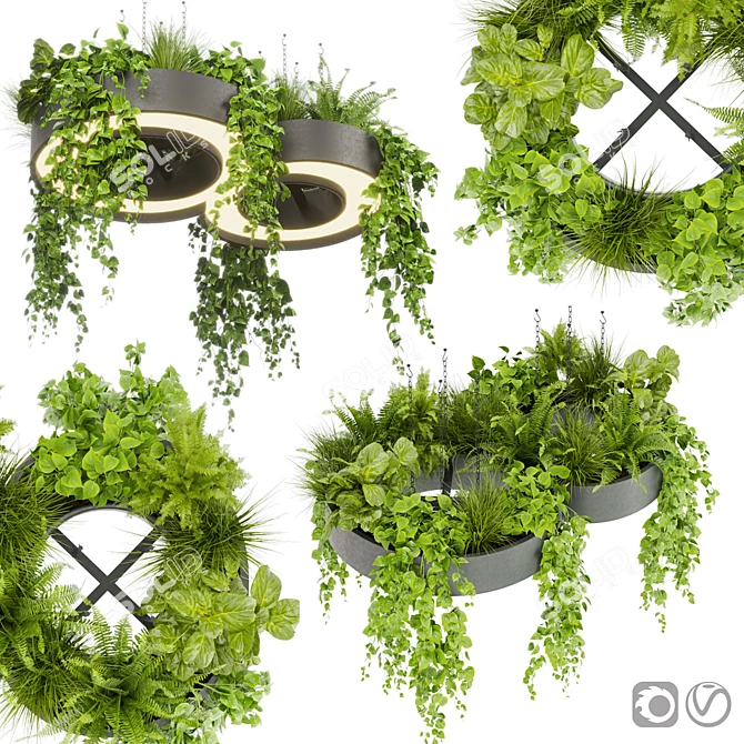 Pothos Ivy Hanging Plant Model 3D model image 1