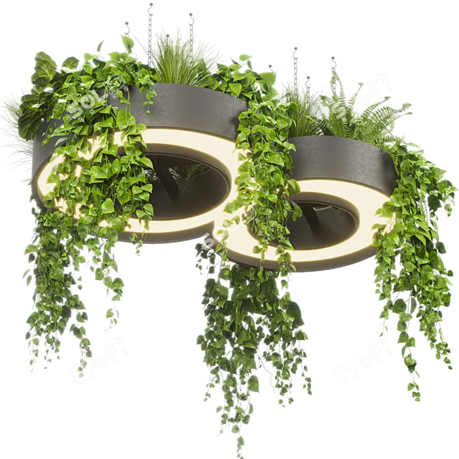 Pothos Ivy Hanging Plant Model 3D model image 2