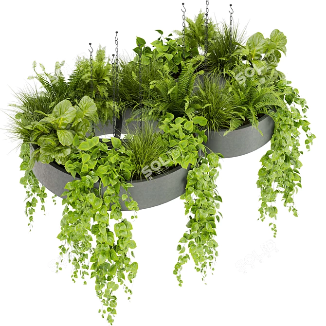 Pothos Ivy Hanging Plant Model 3D model image 3