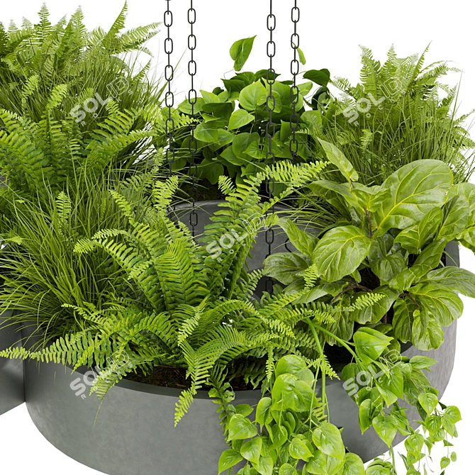 Pothos Ivy Hanging Plant Model 3D model image 6