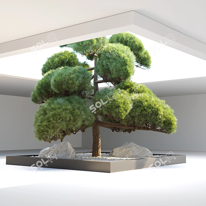 Poplar Trees Collection 3D Model 3D model image 2