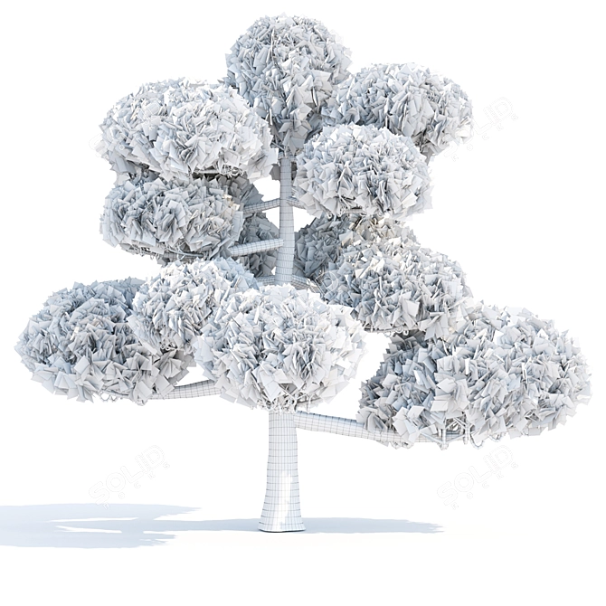 Poplar Trees Collection 3D Model 3D model image 6