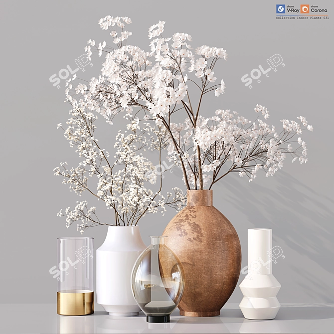 Premium Indoor Plant Collection 3D 3D model image 1