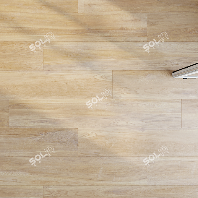 Wood Parquet Super Bundle Set 3D model image 4