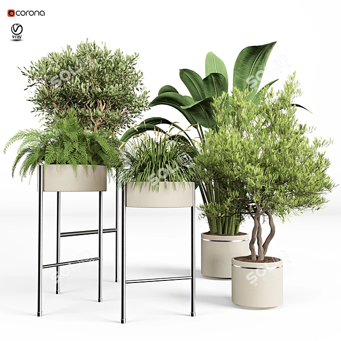 Blooming Indoor Plant Collection 3D model image 1