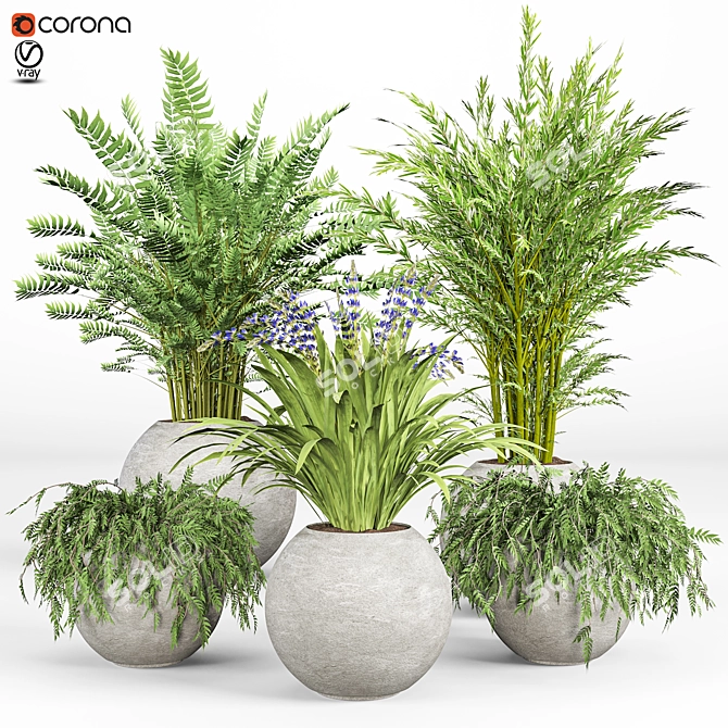 Modern Indoor Plant Set 09 3D model image 1