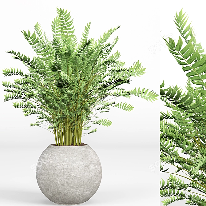 Modern Indoor Plant Set 09 3D model image 2