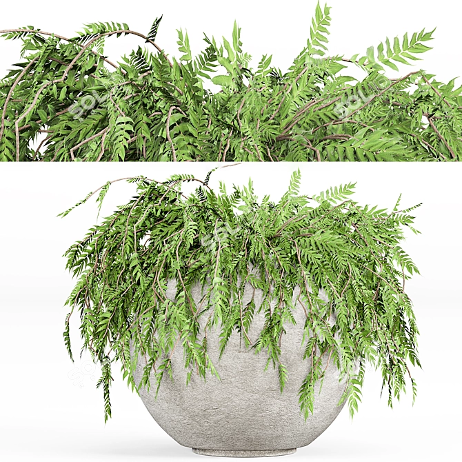 Modern Indoor Plant Set 09 3D model image 4