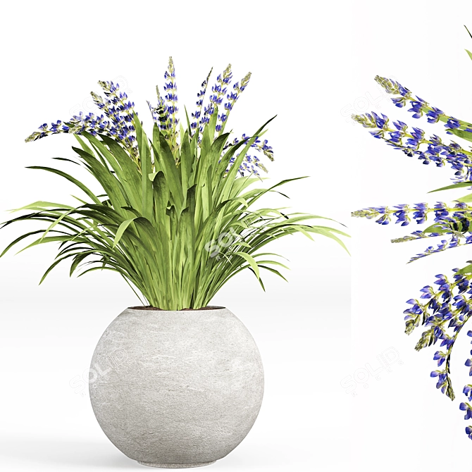 Modern Indoor Plant Set 09 3D model image 5