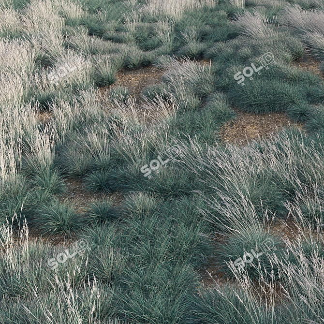 Versatile 3D Blue Oat Grass 3D model image 5