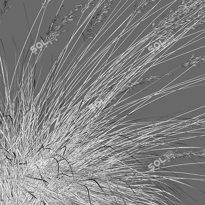 Versatile 3D Blue Oat Grass 3D model image 6