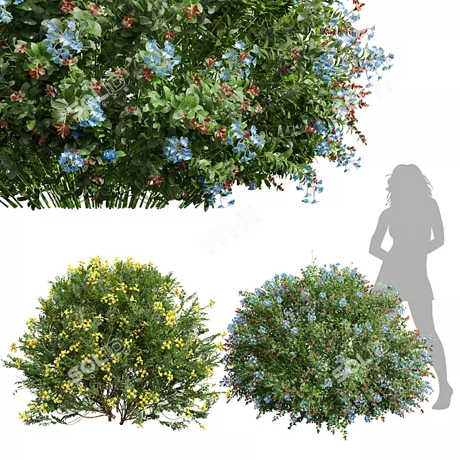Versatile Plant 3D Models Collection 3D model image 1