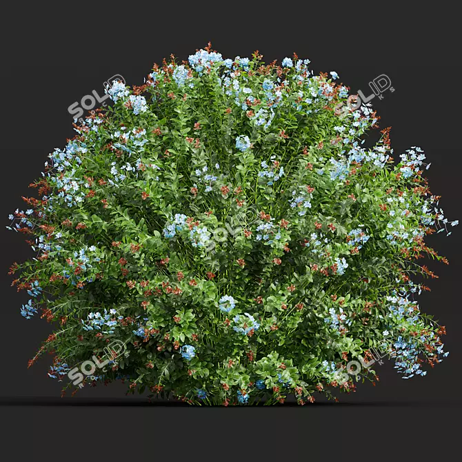 Versatile Plant 3D Models Collection 3D model image 2