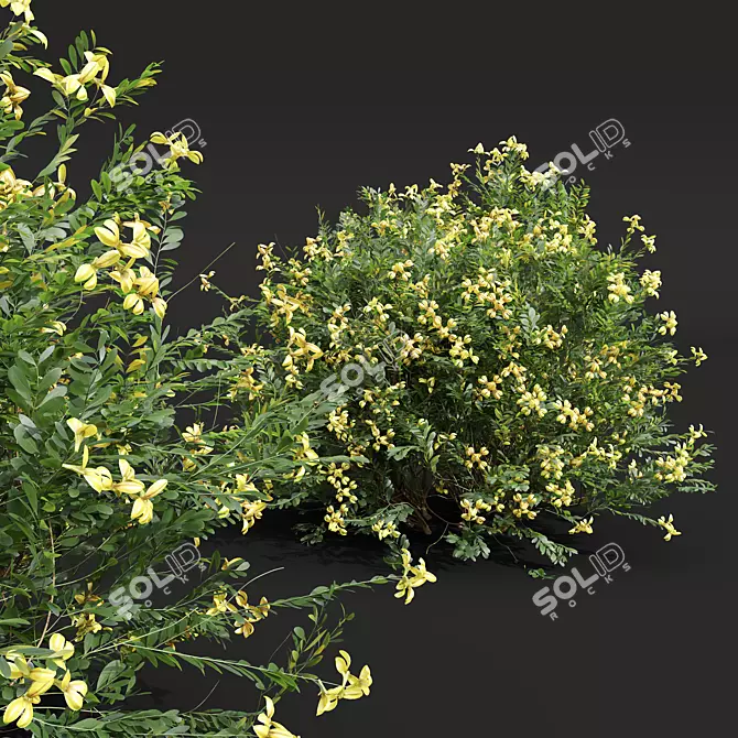Versatile Plant 3D Models Collection 3D model image 3