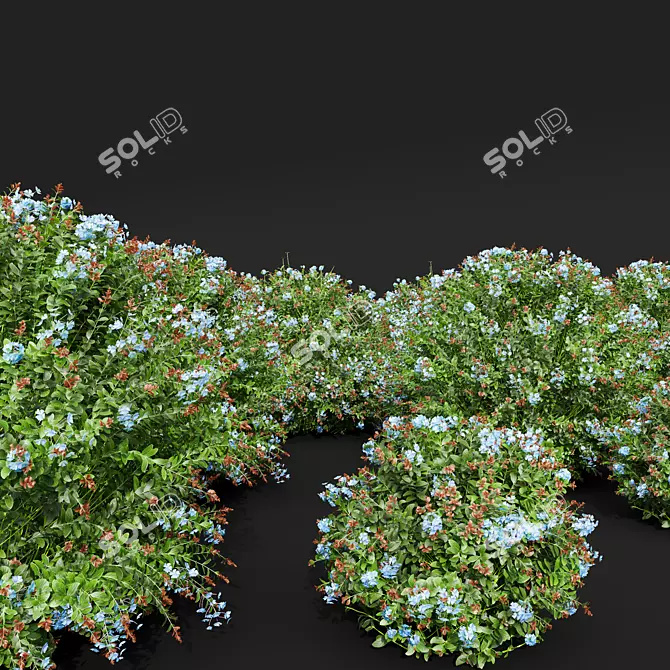 Versatile Plant 3D Models Collection 3D model image 4