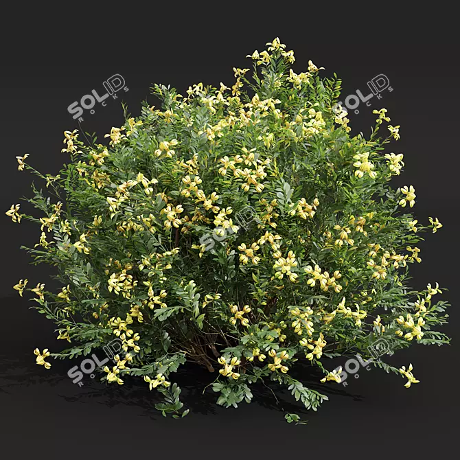 Versatile Plant 3D Models Collection 3D model image 5