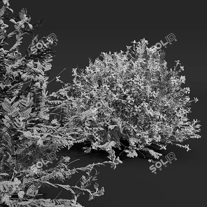 Versatile Plant 3D Models Collection 3D model image 7