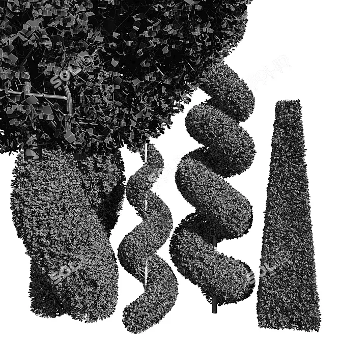 Bonsai Ficus Concinna Pruned Set 3D model image 5