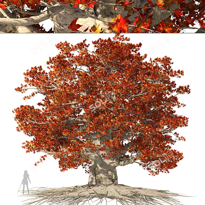 Weirwood Heart Tree Replica 3D model image 1