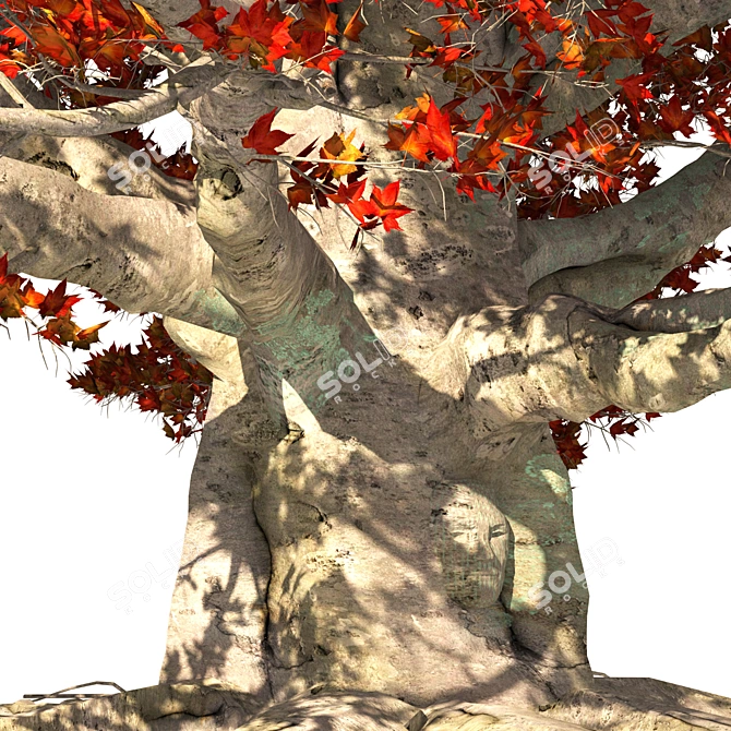 Weirwood Heart Tree Replica 3D model image 2