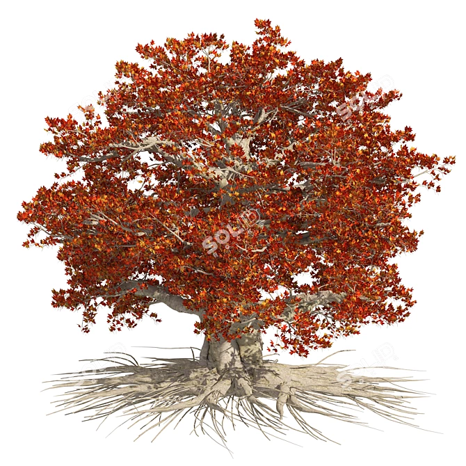 Weirwood Heart Tree Replica 3D model image 5