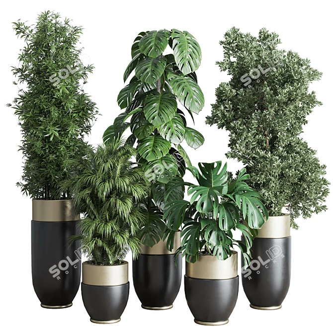  3D Indoor Plant Set with Longhi Godwin Pot 3D model image 1