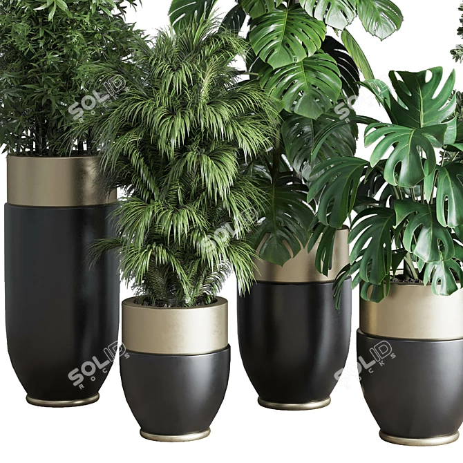  3D Indoor Plant Set with Longhi Godwin Pot 3D model image 3