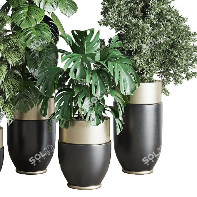  3D Indoor Plant Set with Longhi Godwin Pot 3D model image 6