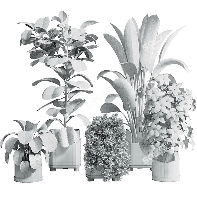 Tropical Ficus Plant Set 3D model image 7