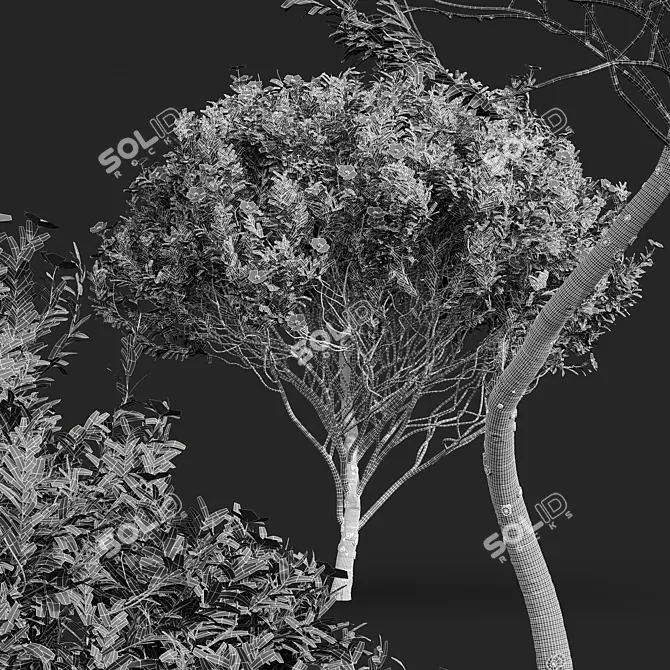 Zistrose Cistus Albidus Plant Decor 3D model image 6