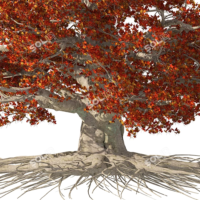Weirwood King's Landing Tree Statue 3D model image 2