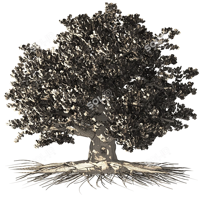 Weirwood King's Landing Tree Statue 3D model image 6