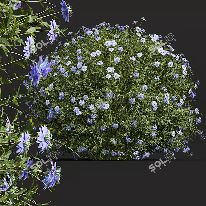 White Floral 3D Plant Models 3D model image 2