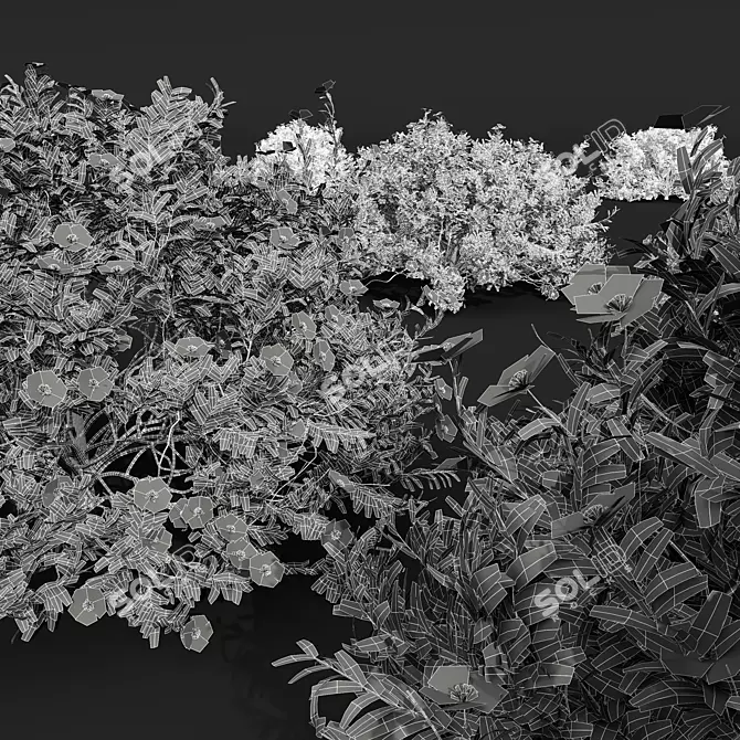White Floral 3D Plant Models 3D model image 7