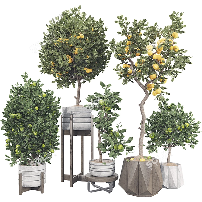 Fruit Tree Collection Set 21 3D model image 1