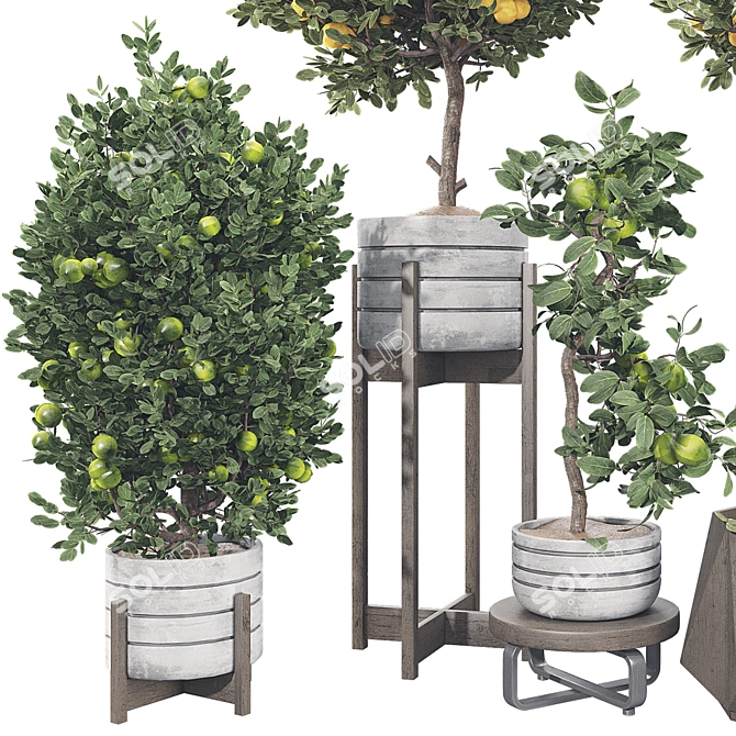 Fruit Tree Collection Set 21 3D model image 2