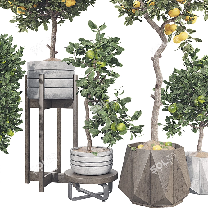 Fruit Tree Collection Set 21 3D model image 3