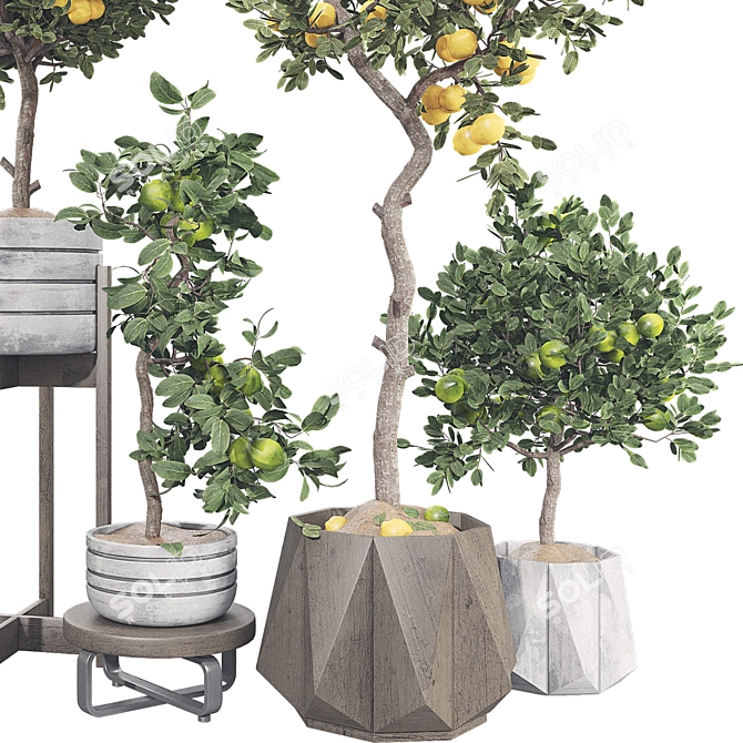 Fruit Tree Collection Set 21 3D model image 4