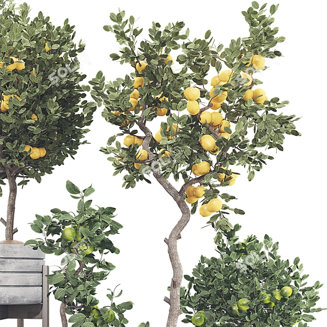 Fruit Tree Collection Set 21 3D model image 5