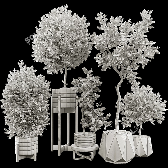 Fruit Tree Collection Set 21 3D model image 7