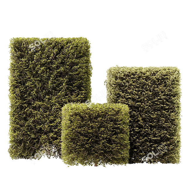 Modular 3-Part Shelf Unit 3D model image 1