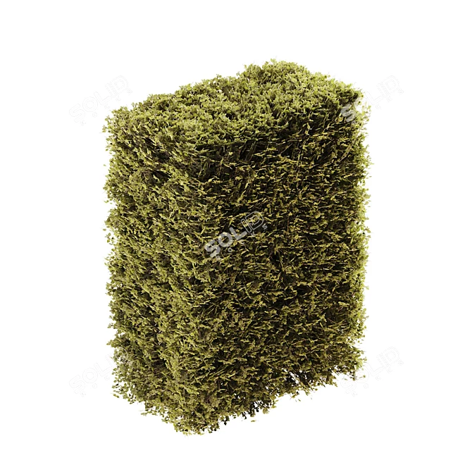 Modular 3-Part Shelf Unit 3D model image 2