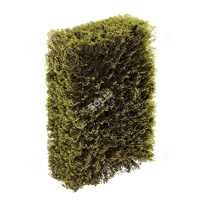 Modular 3-Part Shelf Unit 3D model image 4