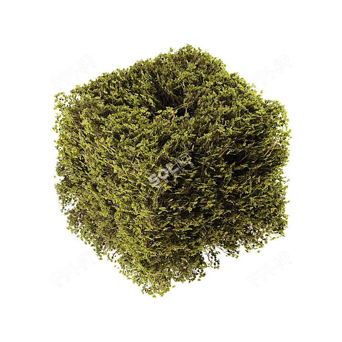 Modular 3-Part Shelf Unit 3D model image 7