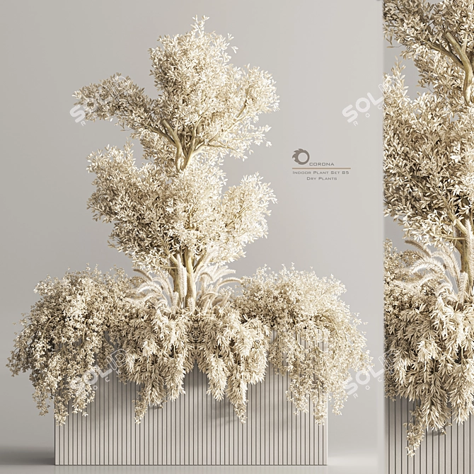 Modern Indoor Plant Set 85 3D model image 1