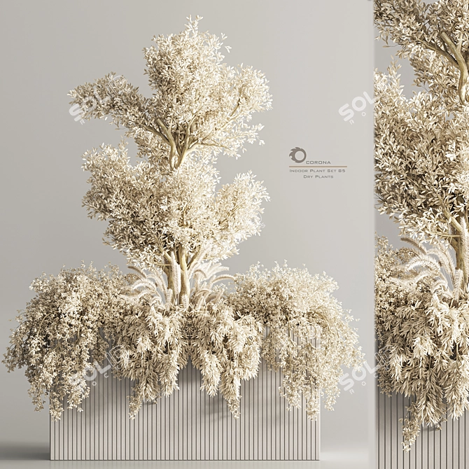 Modern Indoor Plant Set 85 3D model image 2